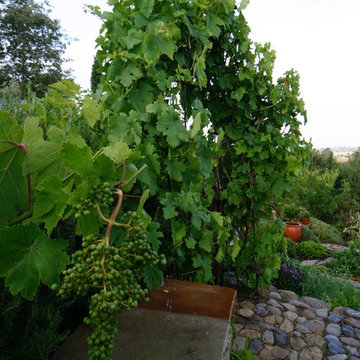 FOOTHILL VEGETABLE GARDEN