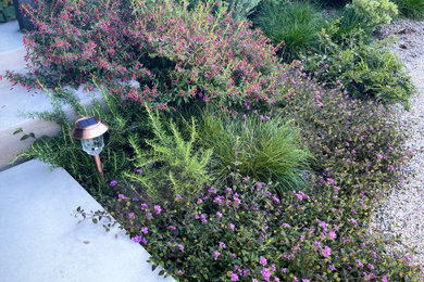 Свежая идея для дизайна: большой солнечный засухоустойчивый сад на переднем дворе в стиле фьюжн с садовой дорожкой или калиткой, хорошей освещенностью и покрытием из гравия - отличное фото интерьера
