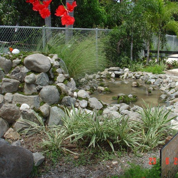 Biological Koi Ponds