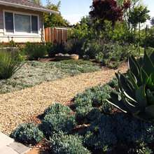 front yard