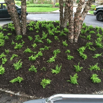 Malvern - Landscape Refresh