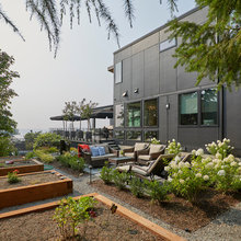 Side Yard