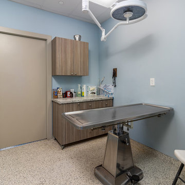 Van Roekel Vet Clinic Commercial Project