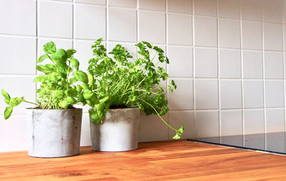 Beton-DIY: Coole Übertöpfe für die Küchenkräuter selbst machen