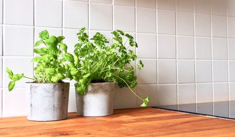 Beton-DIY: Coole Übertöpfe für die Küchenkräuter selbst machen