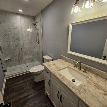 Contemporary Bathroom Remodel
