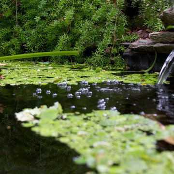 Secret Sanctuary Garden
