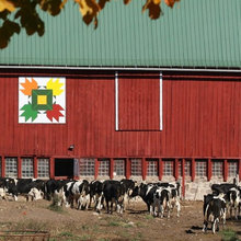 Country Living