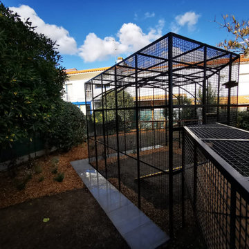 Jardin pour chats - Cat power