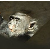 Holly Chaytor's photo