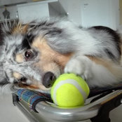 Silvia Vanin's photo