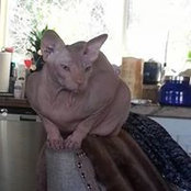Jane Ives's photo