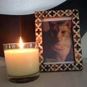 Jim Shackelford's photo