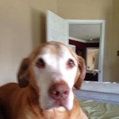 Michael Steratore's photo