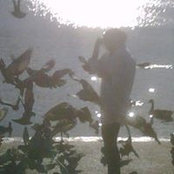 Reem Baasem's photo