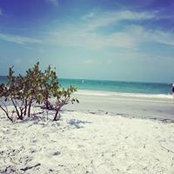 Yida Romero's photo