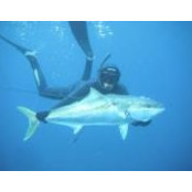 Ron Kleinert's photo