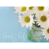 Yen Chi's photo