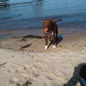Kelly McFadden's photo