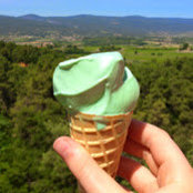Andrea Griswold's photo