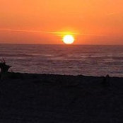 Susan Sheldon Allen's photo