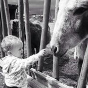 Kristy McFerrin's photo
