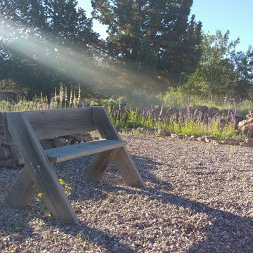 NATIVE BUNCH GRASSES AND WILD FLOWERS BENEFIT FROM THE SNOW AND RAIN