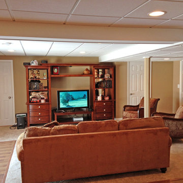 Geneva Basement