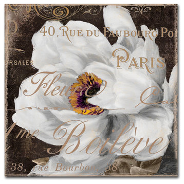 Color Bakery 'Fleurs Blanc III' Canvas Art, 35"x35"