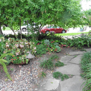 Front Yard Bautification Project July 2016