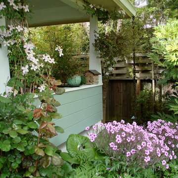 Flora and Fauna