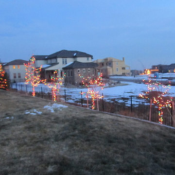 Christmas Light Installers Denver CO