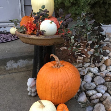 Fall Into A Special Presentation