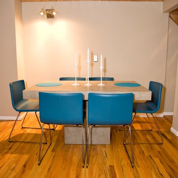 Downtown Denver Modern Loft