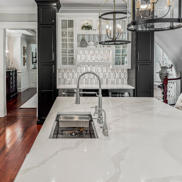 Modern Transitional Kitchen Remodel | Naperville, IL
