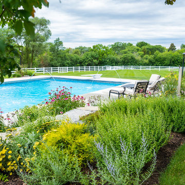 Backyard Pool, Patio, Perennials, and FUN in Barrington, IL