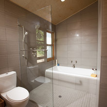 Hybrid bath and shower
