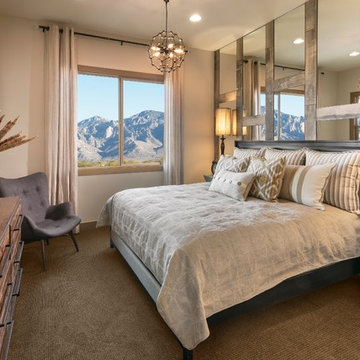 Transitional Bedroom
