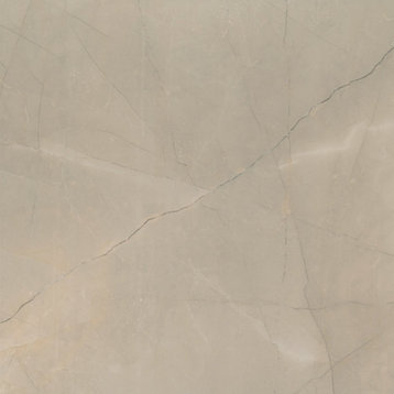 MSI NSAN2424 Sande - 24" Square Floor and Wall Tile - Matte - Cream