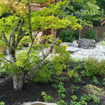 Carol's instant landscape