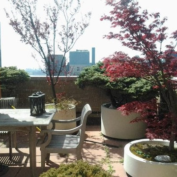 New York Plantings roof top garden and terrace garden design NYC