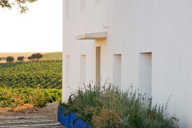 Foto de fachada de casa blanca de estilo de casa de campo con tejado de teja de barro