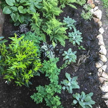 Chevy Chase Foundation Planting