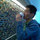 Junliang Zhang