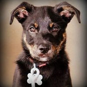 David Hughes's photo