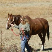 Marilyn Powers's photo