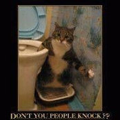 Michelle Hallam's photo