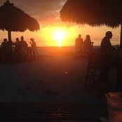Sandy Pasquarelli's photo