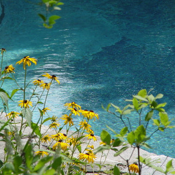 Poolside Summer planting
