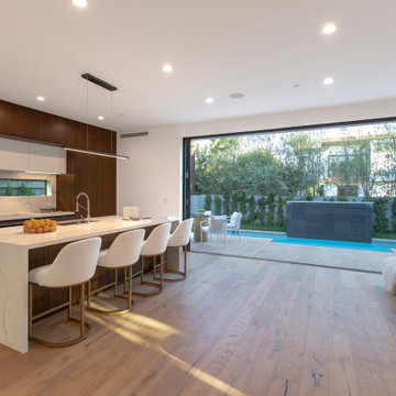 Modern Home | Mar Vista